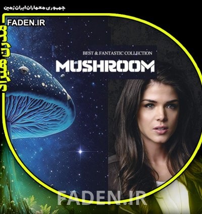 آلبوم کاغذ دیواری  ماشروم Mushroom
